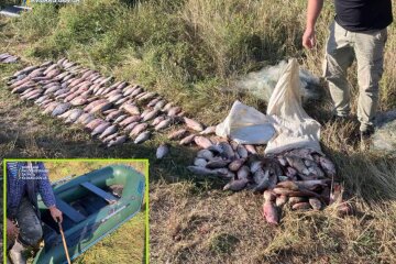 На понад 300 тисяч гривень - стало відомо про результат вилову бракон'єра на Київщині
