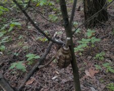 Сапери ДСНС ліквідували залишену окупантами на дереві розтяжку із гранатою Ф-1