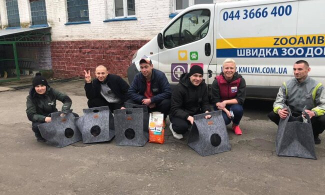 Кототерапія: в колонії під Києвом в`язні піклуватимуться про тварин