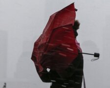 Шторм у Києві: швидкість вітру досягла рекордних значень за історію спостережень