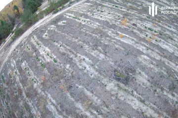 ДБР під Києвом виявило незаконні вирубки лісу на 15 млн: “чорних” лісорубів брали на гарячому