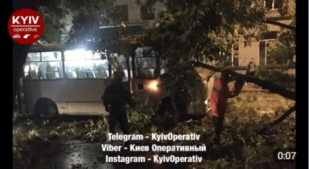 У Києві на Лук’янівці під час грози дерево впало на маршрутку (відео)