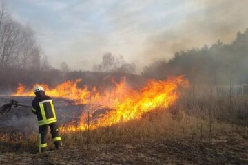 Весняні пожежі в Україні здебільшого стаються з вини людей