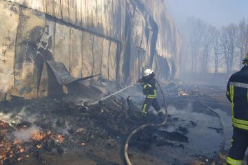 Масштабна пожежа під Києвом дим затягнув Броварську трасу