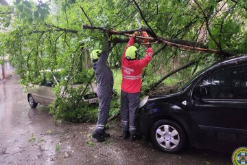 У Києві ліквідували наслідки негоди: рятувальники прибирали дерева з доріг та пошкоджених авто