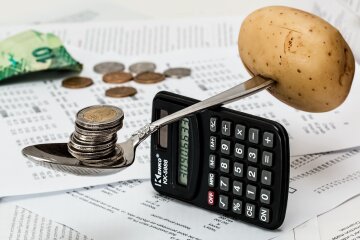В Україні значно скоротять субсидії: на які суми можна розраховувати