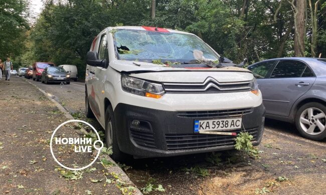 Гілки пробили лобове скло та двері: у Києві блискавка повалила дерево на автомобіль