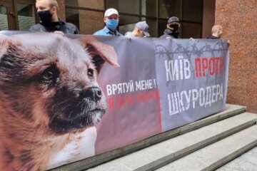 У Києві пройшов мітинг проти виправдання догхантера Святогора (відео)