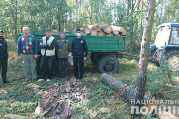 З Чорнобильської зони намагались 70 кг радіаційних грибів