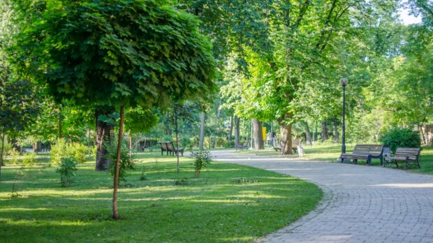 У Києві назвали ТОП 10 кроків для вирішення екологічних проблем столиці