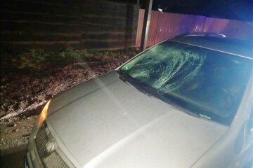 19-річний водій наїхав на двох пішоходів