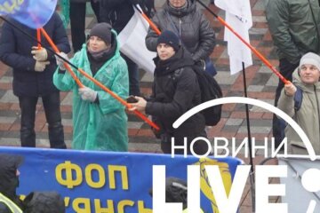ФОПи зібралися під Верховною Радою: чого вимагають протестувальники