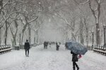 Сильний вітер, хуртовини, морози до 10 градусів: погода в Києві погіршиться