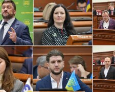 У Київраді чотири нові депутати — депутата-втікача Трубіцина і підозрювану у ДТП Ар'єву замінили екс-очільниця МОЗ та депутат-багач від БПП