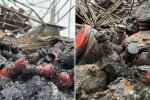 У столиці ракетою знищено склад українського виробника соусів “Вогняр”