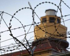 Свідчення звірств: Україна повернула тіла 375 загиблих у полоні з ознаками систематичних катувань та виснаження