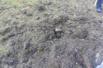 Під мінометний обстріл потрапила одна із громад на Сумщині