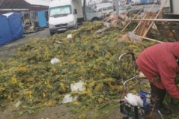 Після 8 березня на Троєщині виник величезний квітковий смітник