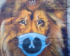 Лев у масці: в Києві з’явився перший мурал на тему коронавірусу