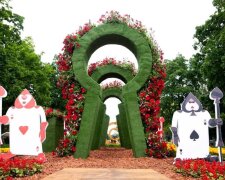 Аліса в країні див: в Києві відкрили унікальну виставку квіткових інсталяцій (фото)