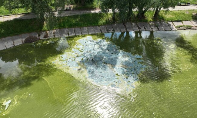 Комунальники з’ясовують причини забруднення озера Віра, що у Святошинському районі столиці