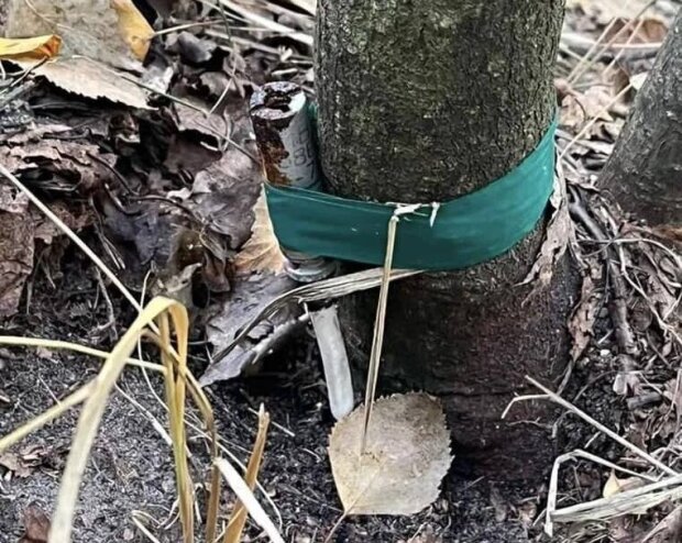 У Бучанському р-ні Київщини чоловік замість грибів знайшов розтяжку