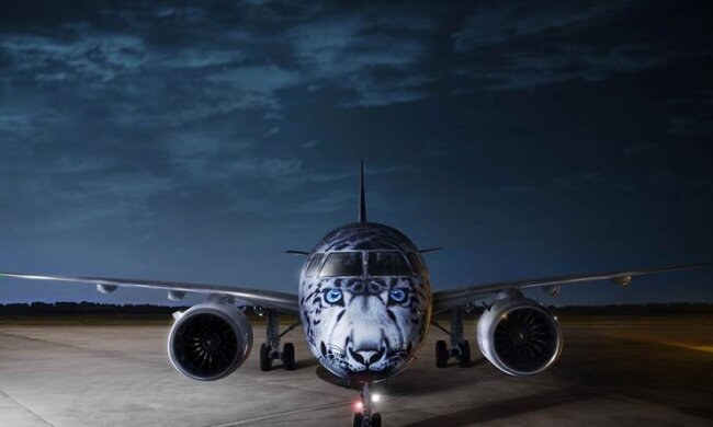 В Борисполі приземлився сніговий барс з Астани