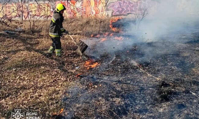 Вогняний хаос на цвинтарях Києва: рятувальники гасили Дарницьке та Лісове кладовища