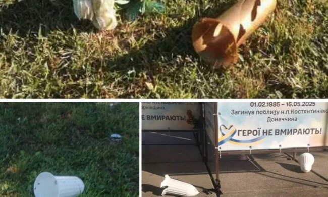 Невідомі вчинили акт вандалізму на Алеї Героїв у Василькові