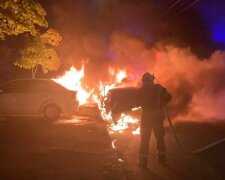 На узбіччі дороги у столиці палала автівка - на щастя ніхто не постраждав