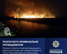 Поліція Києва розпочала кримінальне провадження за фактом пожежі на території ландшафтного заказника «Осокорківські луки»