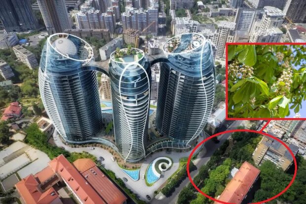 У Києві біля елітного ЖК Taryan Towers бізнесмена Артура Мхітаряна знищили десятки каштанів