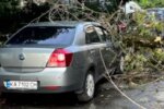 У Києві через сильний вітер автівку привалило деревом