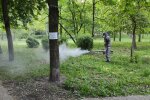 У київських парках почали винищувати кліщів