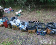 Чорниця та лисички з радіацією: з Чорнобильських лісів намагались вивезти 300 кг ягід та грибів