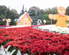 У кінці вересня на Співочому полі відкриється велика виставка хризантем