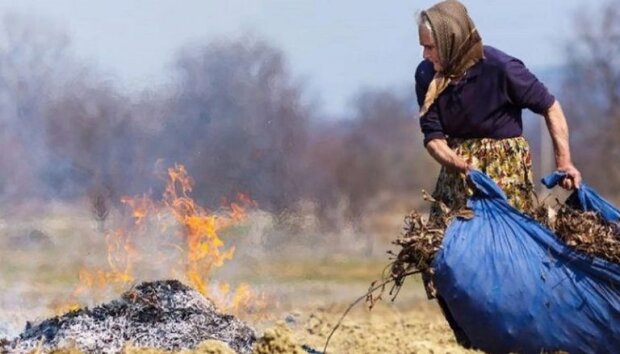 У Києві штрафуватимуть спалювачів опалого листя: названо суми
