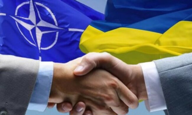 НАТО в повному складі їде в Україну
