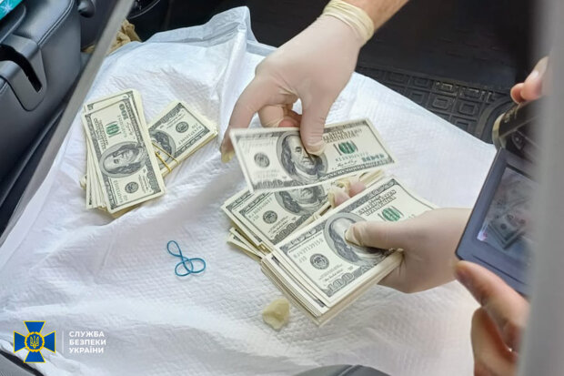В Україні викрили банду фальшивомонетників, які хотіли продати фальшиві $500 000 - в Києві затримано організатора