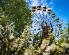 У Чорнобильскій зоні встановлено новий рекорд відвідуваності