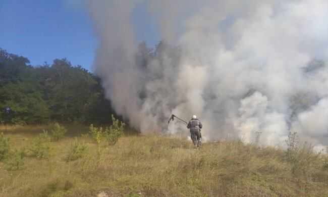Через пожежі у Києві знов сильно забруднено повітря