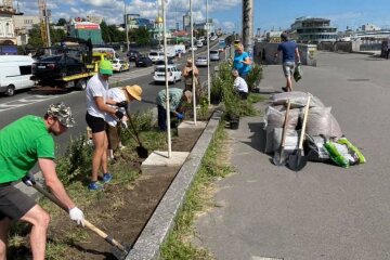 Кизильник та бірючина поглинатимуть бруд: на Подолі втілюють проєкт Зелена стіна