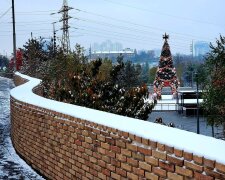 У Києві з’явилася перша новорічна ялинка