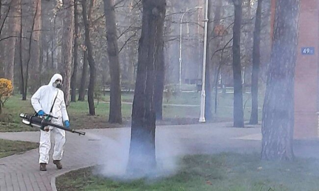 Сезон полювання на кліщів: у столиці знешкоджують паразитів на 114 гектарах зелених зон