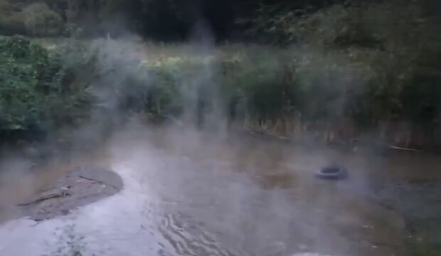 Потоки окропу: в озеро Голосіївського парку зливають гарячу воду (відео)