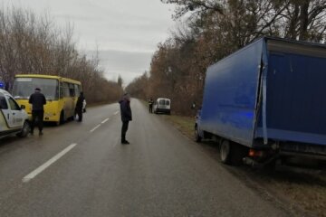На Київщині у ДТП з маршруткою постраждала жінка