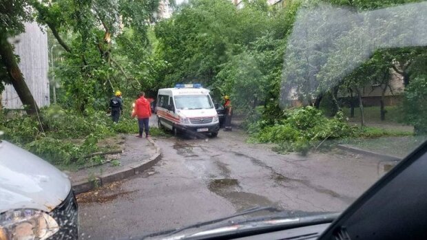 У столиці під час зливи впали приблизно 150 дерев
