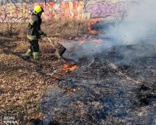 Вогняний хаос на цвинтарях Києва: рятувальники гасили Дарницьке та Лісове кладовища