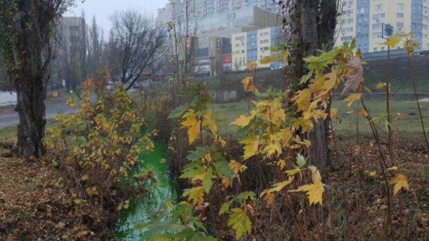 Вода в столичній річці Дарниця позеленіла: з чим це пов’язано
