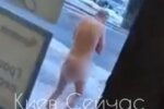 У Києві на Оболоні перехожі помітили голого чоловіка (відео)